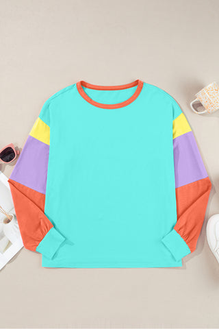 Cassidee Color Block Round Neck Long Sleeve Top