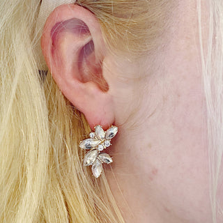 Stunning Stone Stud Earrings