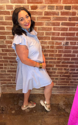 Gingham Flutter Sleeve Dress in Blue
