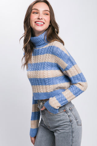 Turtle Neck Stripe Sweater